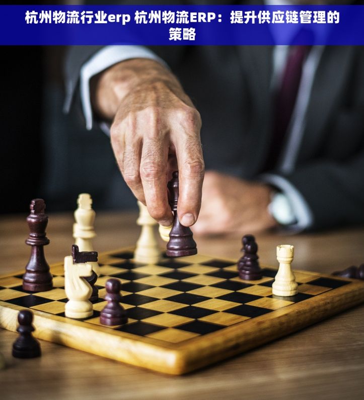 杭州物流行业erp 杭州物流ERP：提升供应链管理的策略