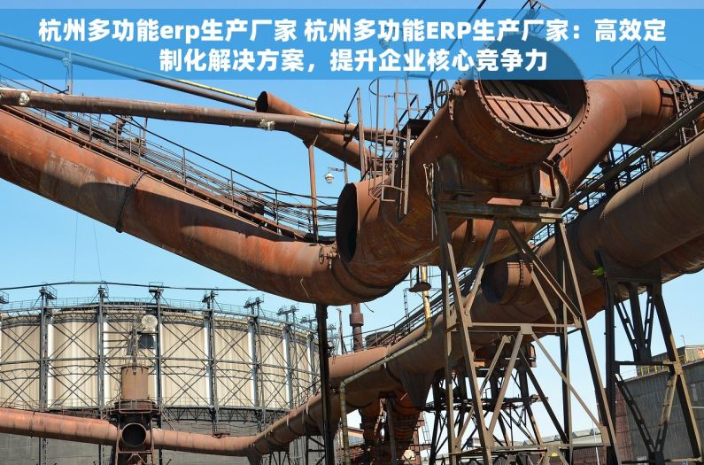 杭州多功能erp生产厂家 杭州多功能ERP生产厂家：高效定制化解决方案，提升企业核心竞争力