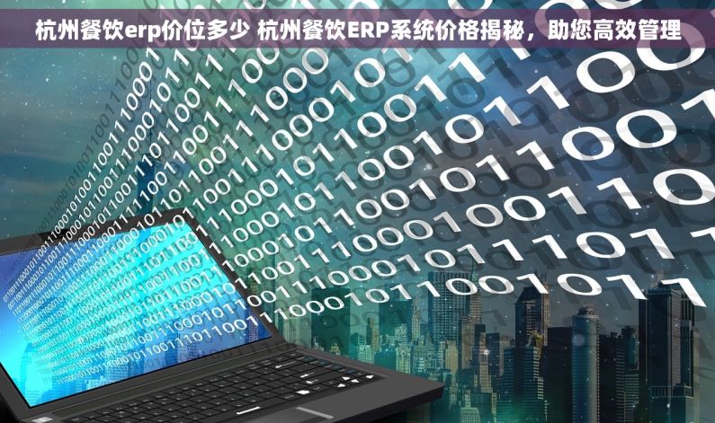 杭州餐饮erp价位多少 杭州餐饮ERP系统价格揭秘，助您高效管理