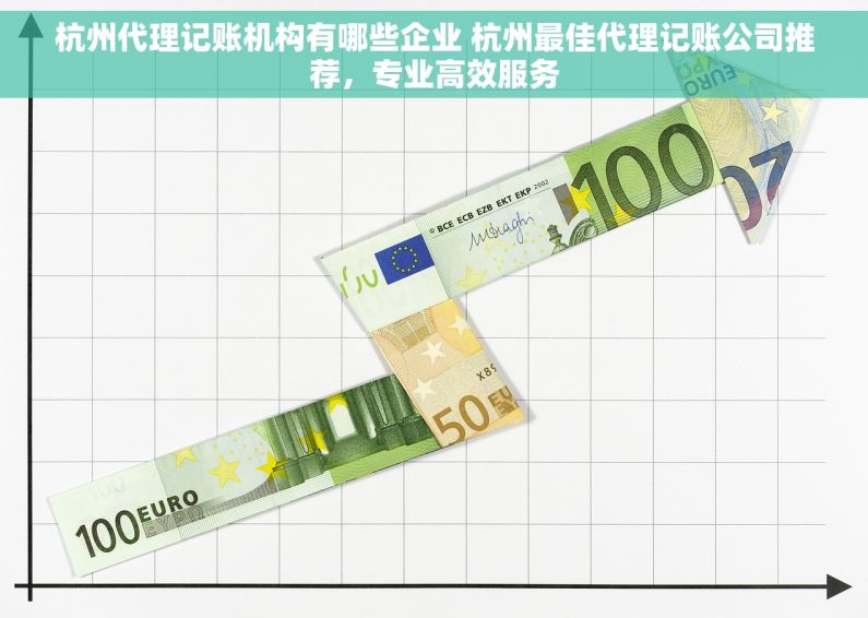 杭州代理记账机构有哪些企业 杭州最佳代理记账公司推荐，专业高效服务