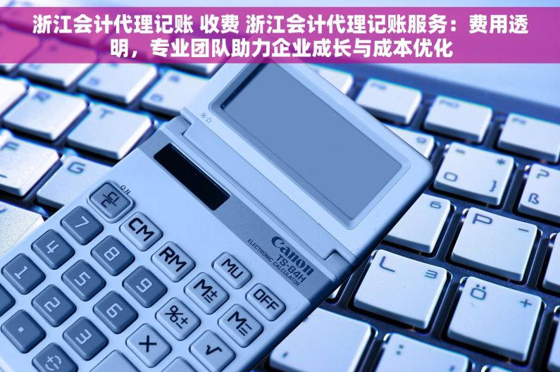 浙江会计代理记账 收费 浙江会计代理记账服务：费用透明，专业团队助力企业成长与成本优化