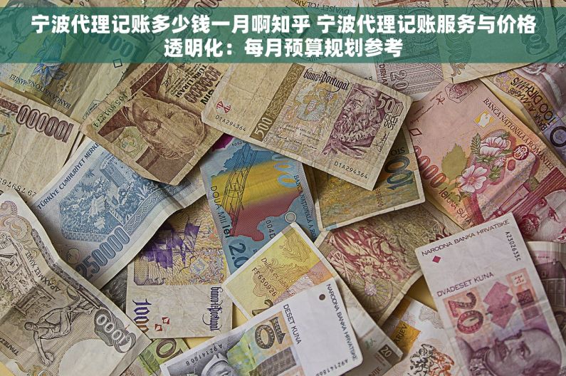 宁波代理记账多少钱一月啊知乎 宁波代理记账服务与价格透明化：每月预算规划参考