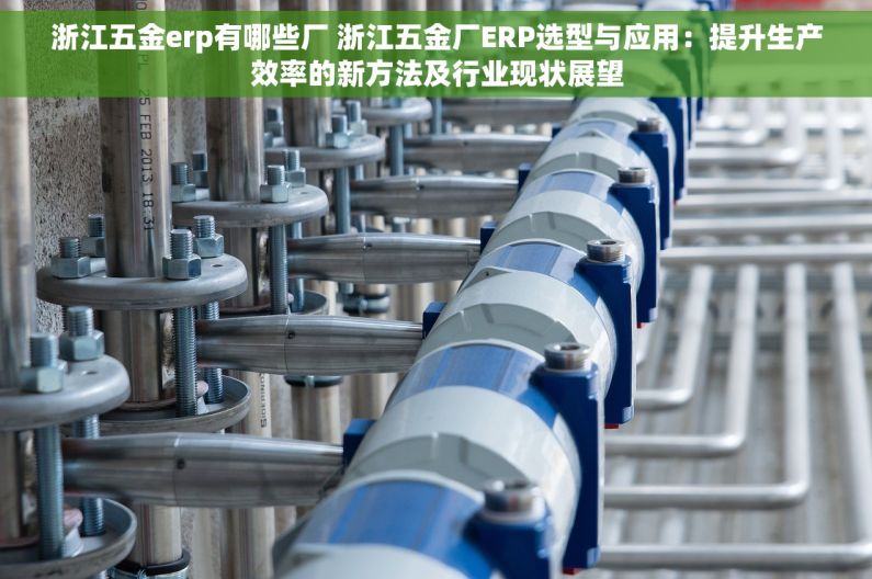 浙江五金erp有哪些厂 浙江五金厂ERP选型与应用：提升生产效率的新方法及行业现状展望