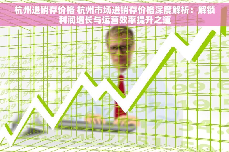 杭州进销存价格 杭州市场进销存价格深度解析：解锁利润增长与运营效率提升之道