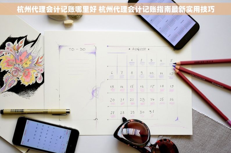 杭州代理会计记账哪里好 杭州代理会计记账指南最新实用技巧