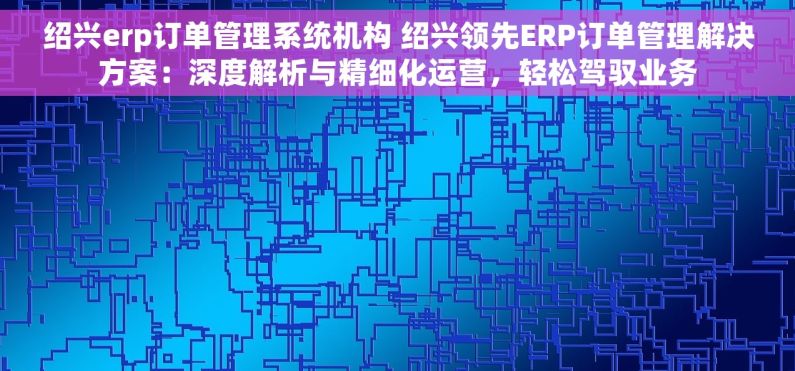 绍兴erp订单管理系统机构 绍兴领先ERP订单管理解决方案：深度解析与精细化运营，轻松驾驭业务