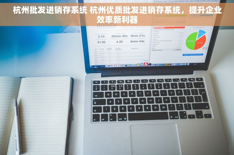 杭州批发进销存系统 杭州优质批发进销存系统，提升企业效率新利器