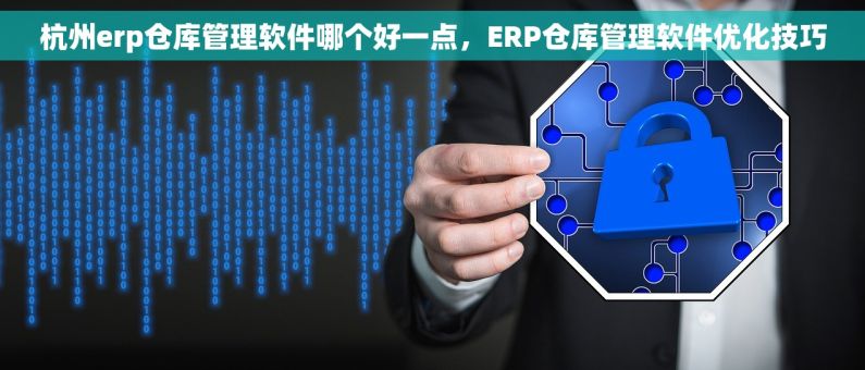 杭州erp仓库管理软件哪个好一点，ERP仓库管理软件优化技巧