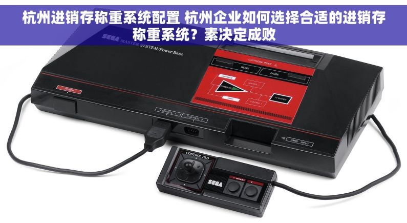 杭州进销存称重系统配置 杭州企业如何选择合适的进销存称重系统？素决定成败