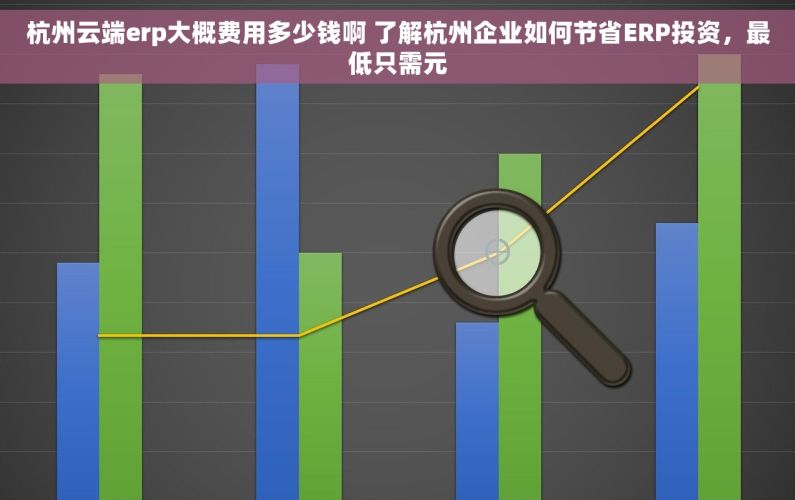 杭州云端erp大概费用多少钱啊 了解杭州企业如何节省ERP投资，最低只需元