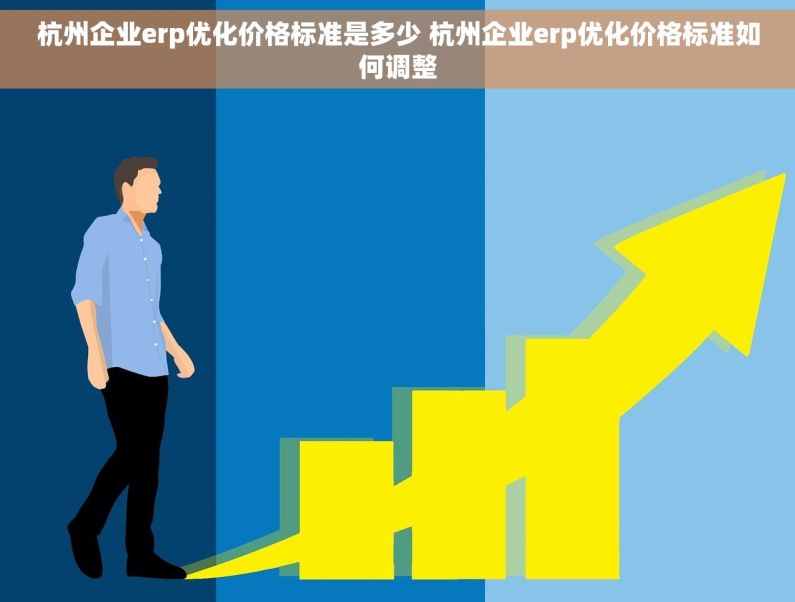 杭州企业erp优化价格标准是多少 杭州企业erp优化价格标准如何调整