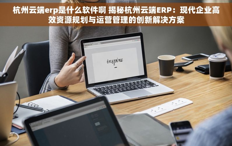 杭州云端erp是什么软件啊 揭秘杭州云端ERP：现代企业高效资源规划与运营管理的创新解决方案