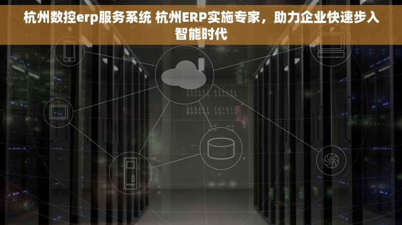 杭州数控erp服务系统 杭州ERP实施专家，助力企业快速步入智能时代