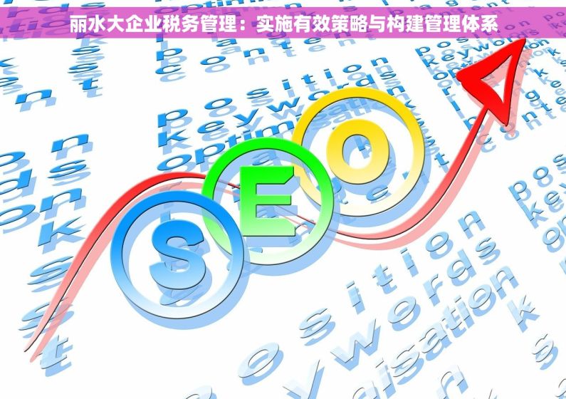 丽水大企业税务管理：实施有效策略与构建管理体系