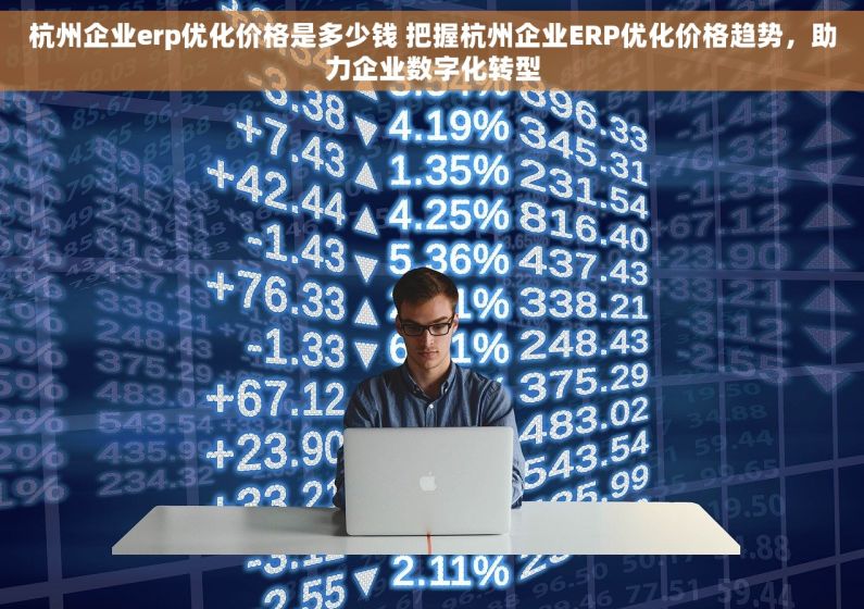 杭州企业erp优化价格是多少钱 把握杭州企业ERP优化价格趋势，助力企业数字化转型