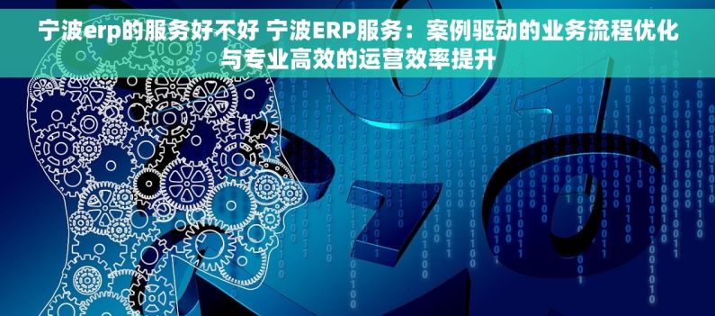 宁波erp的服务好不好 宁波ERP服务：案例驱动的业务流程优化与专业高效的运营效率提升