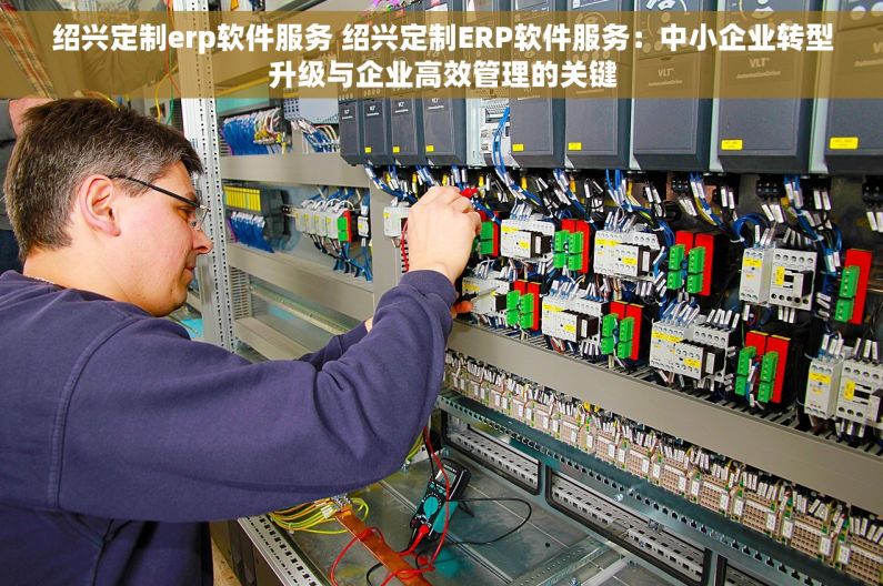 绍兴定制erp软件服务 绍兴定制ERP软件服务：中小企业转型升级与企业高效管理的关键