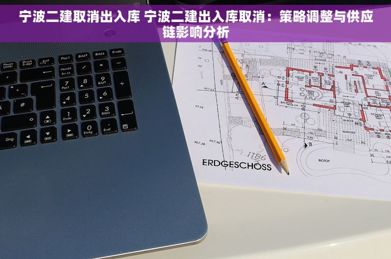 宁波二建取消出入库 宁波二建出入库取消：策略调整与供应链影响分析