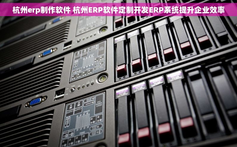 杭州erp制作软件 杭州ERP软件定制开发ERP系统提升企业效率