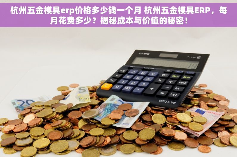 杭州五金模具erp价格多少钱一个月 杭州五金模具ERP，每月花费多少？揭秘成本与价值的秘密！