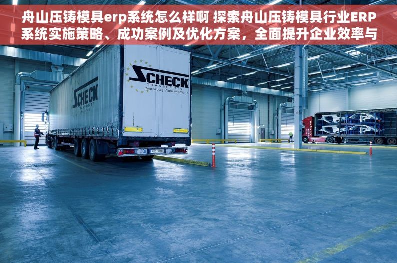 舟山压铸模具erp系统怎么样啊 探索舟山压铸模具行业ERP系统实施策略、成功案例及优化方案，全面提升企业效率与管理