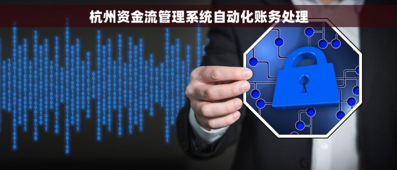 杭州资金流管理系统自动化账务处理