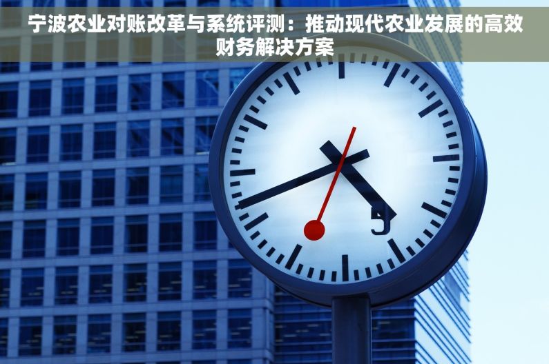 宁波农业对账改革与系统评测：推动现代农业发展的高效财务解决方案
