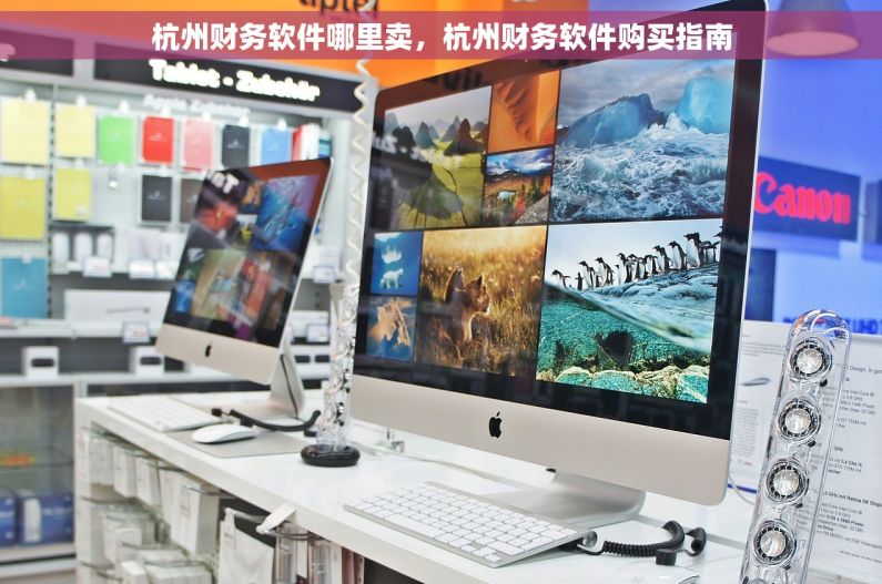 杭州财务软件哪里卖，杭州财务软件购买指南