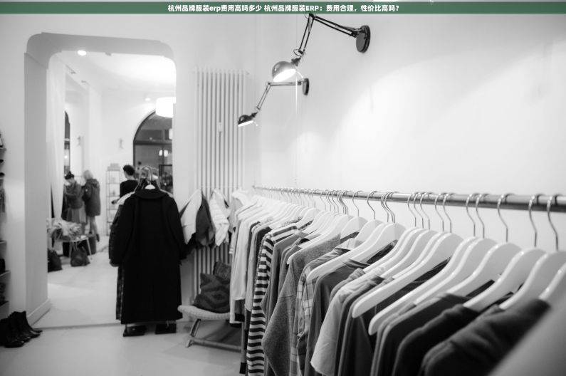 杭州品牌服装erp费用高吗多少 杭州品牌服装ERP：费用合理，性价比高吗？