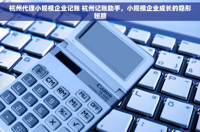 杭州代理小规模企业记账 杭州记账助手，小规模企业成长的隐形翅膀