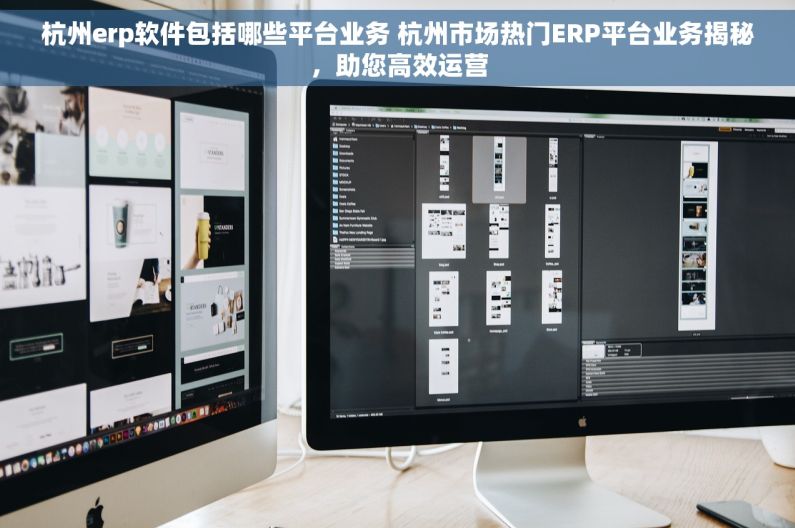 杭州erp软件包括哪些平台业务 杭州市场热门ERP平台业务揭秘，助您高效运营