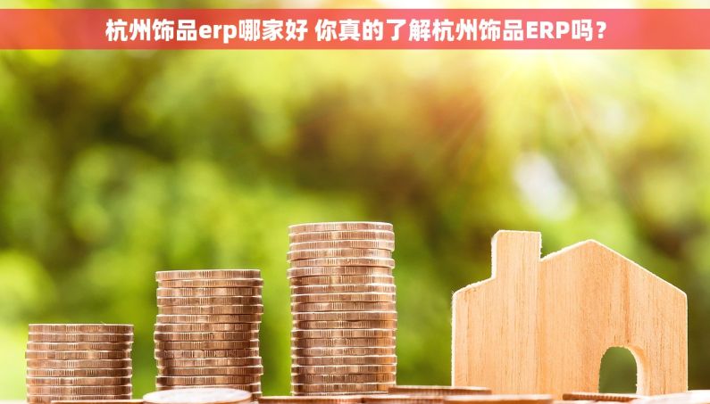 杭州饰品erp哪家好 你真的了解杭州饰品ERP吗？