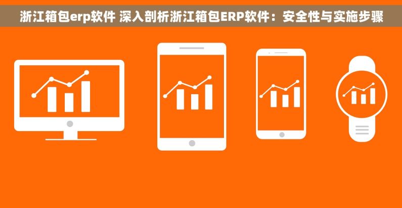 浙江箱包erp软件 深入剖析浙江箱包ERP软件：安全性与实施步骤