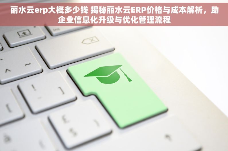 丽水云erp大概多少钱 揭秘丽水云ERP价格与成本解析，助企业信息化升级与优化管理流程