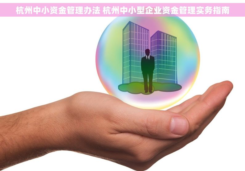杭州中小资金管理办法 杭州中小型企业资金管理实务指南