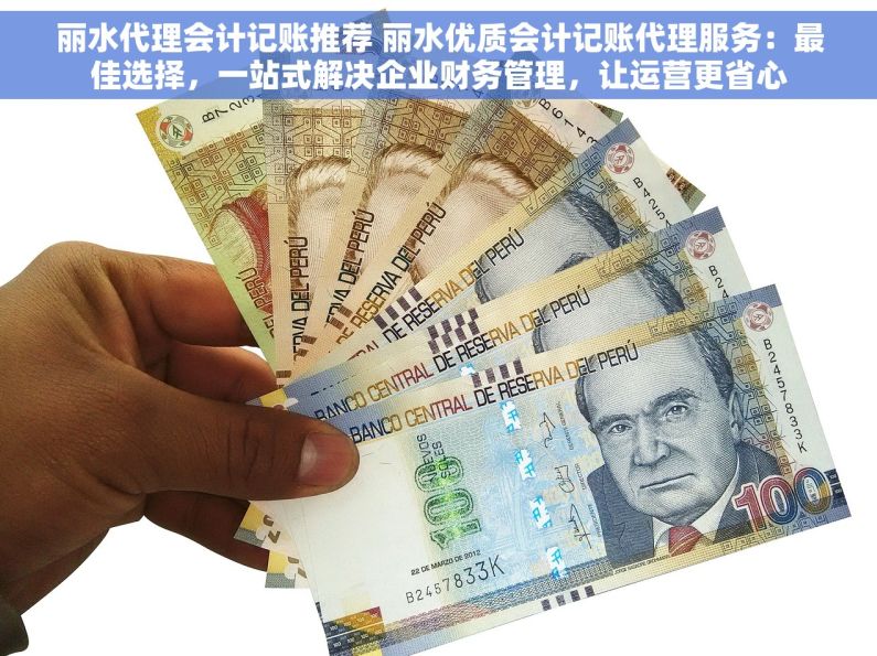 丽水代理会计记账推荐 丽水优质会计记账代理服务：最佳选择，一站式解决企业财务管理，让运营更省心