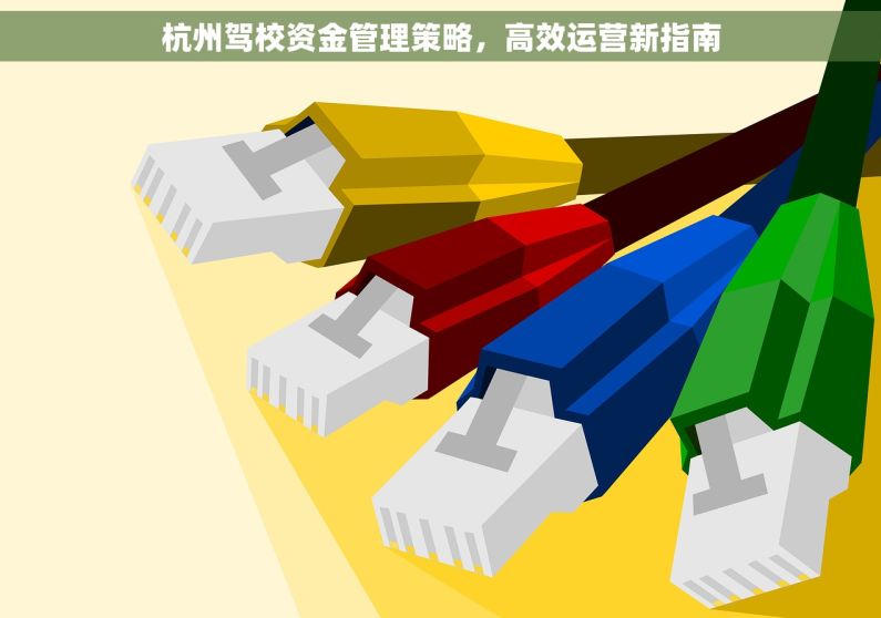 杭州驾校资金管理策略，高效运营新指南