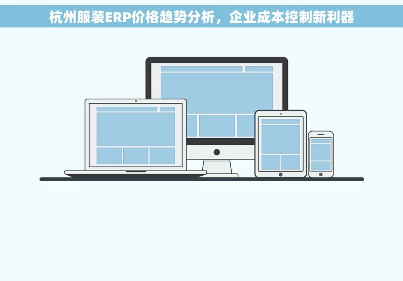 杭州服装ERP价格趋势分析，企业成本控制新利器