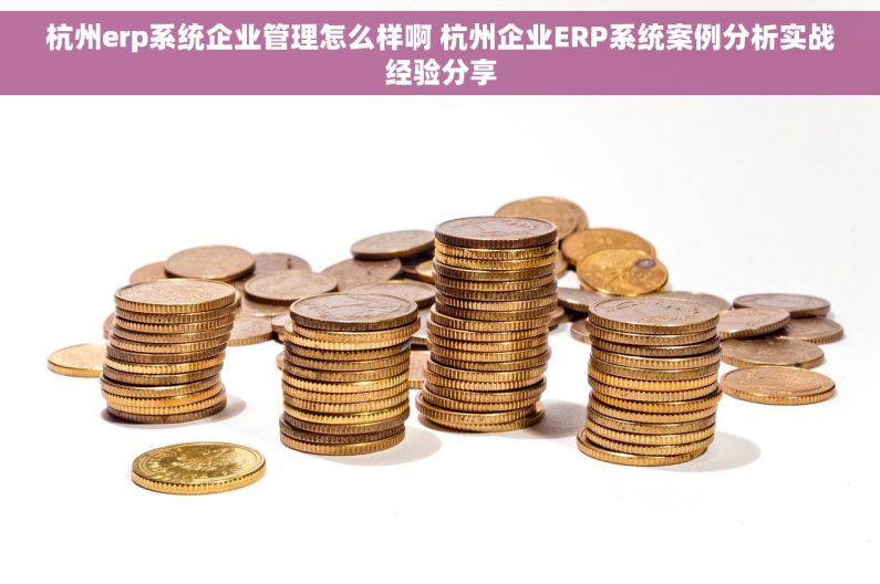 杭州erp系统企业管理怎么样啊 杭州企业ERP系统案例分析实战经验分享