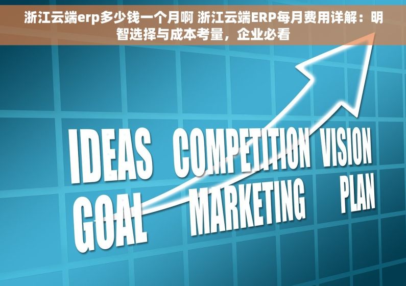 浙江云端erp多少钱一个月啊 浙江云端ERP每月费用详解：明智选择与成本考量，企业必看