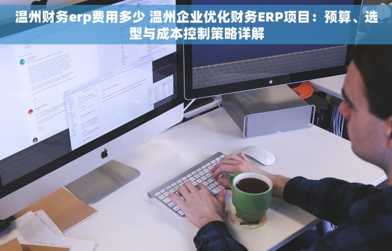 温州财务erp费用多少 温州企业优化财务ERP项目：预算、选型与成本控制策略详解