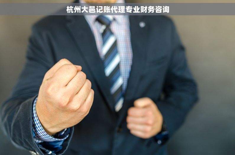 杭州大邑记账代理专业财务咨询