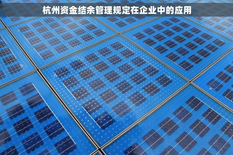 杭州资金结余管理规定在企业中的应用