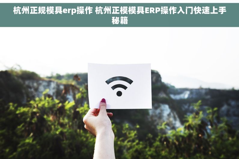 杭州正规模具erp操作 杭州正模模具ERP操作入门快速上手秘籍