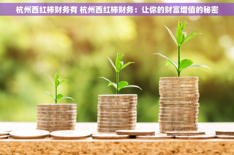 杭州西红柿财务有 杭州西红柿财务：让你的财富增值的秘密