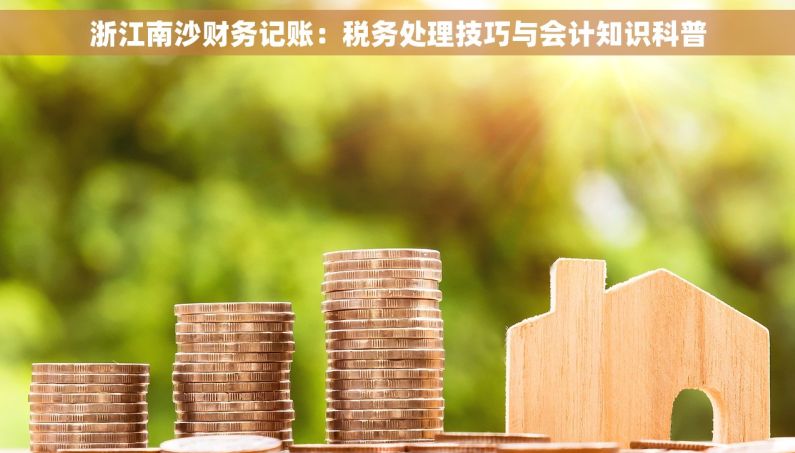 浙江南沙财务记账：税务处理技巧与会计知识科普