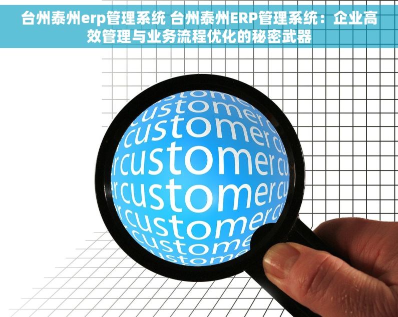 台州泰州erp管理系统 台州泰州ERP管理系统：企业高效管理与业务流程优化的秘密武器