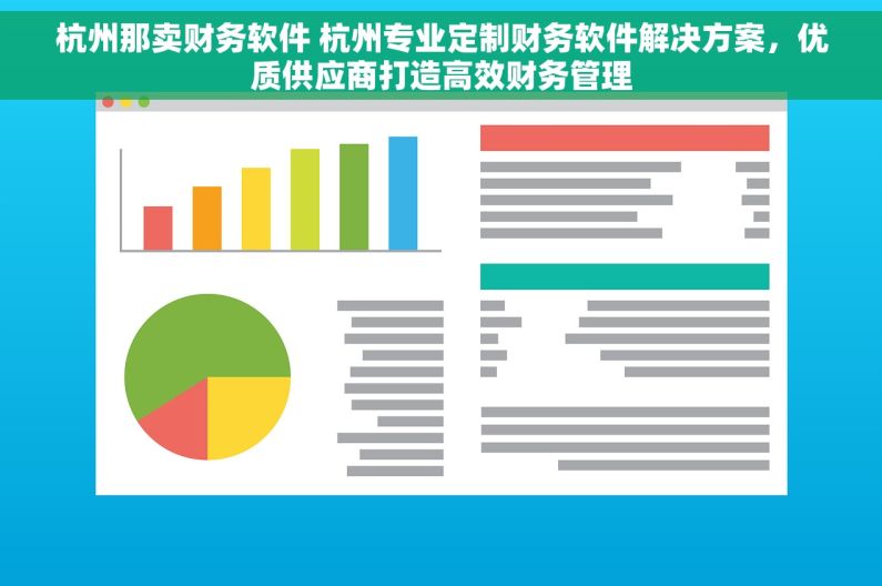 杭州那卖财务软件 杭州专业定制财务软件解决方案，优质供应商打造高效财务管理
