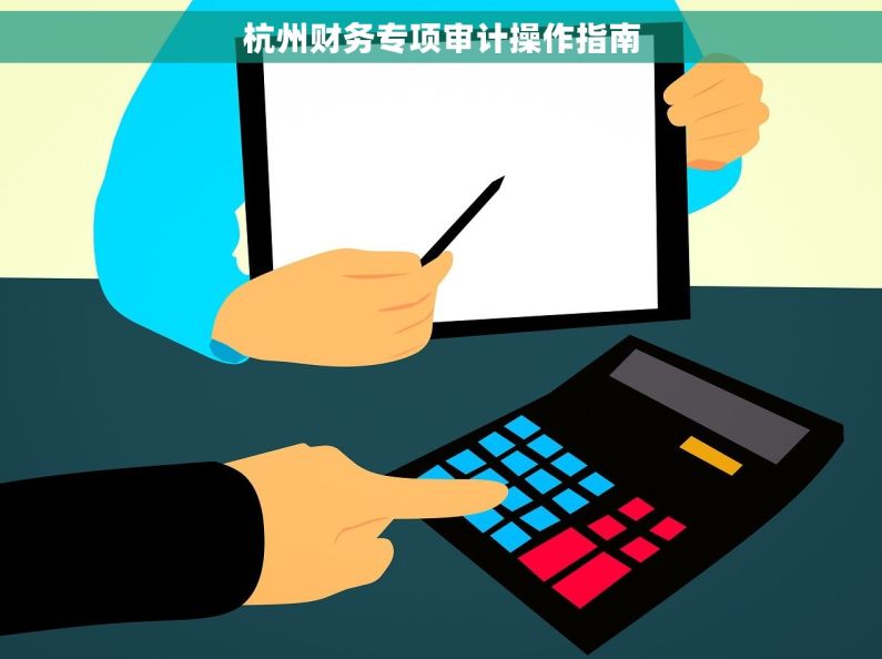 杭州财务专项审计操作指南