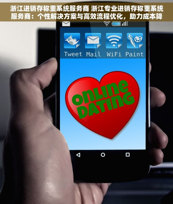 浙江进销存称重系统服务商 浙江专业进销存称重系统服务商：个性解决方案与高效流程优化，助力成本降低与利润提升